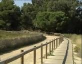 Imagen de Junta Rectora Del Parque Natural De La Mata Y Torrevieja