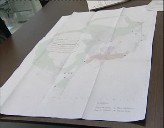 Imagen de Adjudicada La Redacción Del Proyecto Del Mapa Estratégico De Ruido De Torrevieja