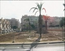 Imagen de Comienzan Las Obras De Construcción De Un Nuevo Parque En Torrevieja