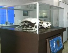 Imagen de Gil Rebollo Anuncia En Tvt Radio La Apertura En Febrero De Un Museo De Ciencias Naturales