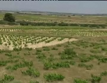 Imagen de El parque natural presenta el proyecto Bailando entre Viñedos para celebrar el Día de los Humedales