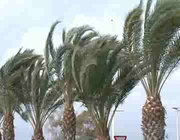 Imagen de El viento roza los 90 km/h en Torrevieja, aunque comienza a remitir