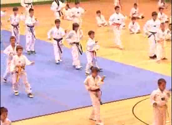 Imagen de Más de 600 deportistas participarán en el open nacional de Taekwondo que se celebra en Torrevieja
