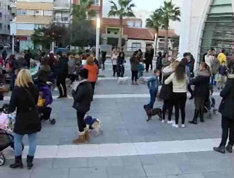 Imagen de Bendición de animales y Feria Animalista con motivo de la Festividad de San Antonio Abad