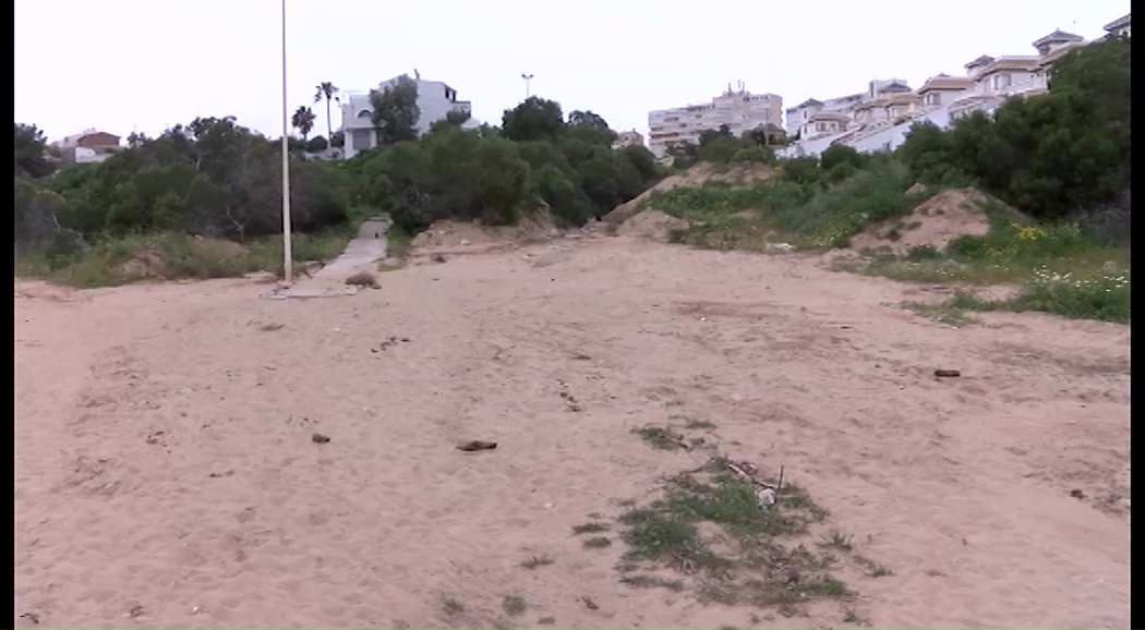 Imagen de Arena tratada del barranco C/ las Musas servirá para regenerar playas