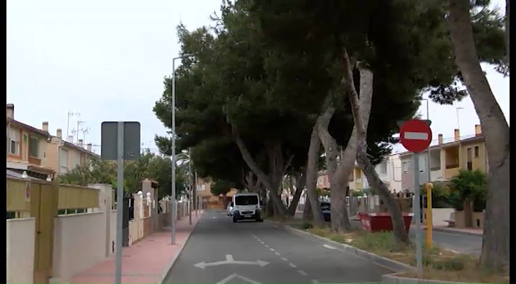 Imagen de Vecinos de la calle Las Gaviotas advierten al Ayto sobre el peligro de caída de árboles