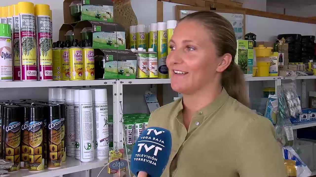 Imagen de ¿Cómo acabar con las cucarachas en verano?