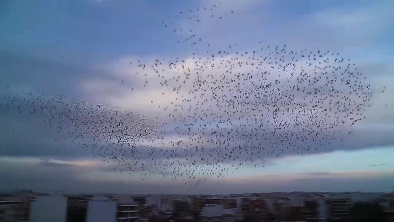 Imagen de Un regalo visual de la madre naturaleza