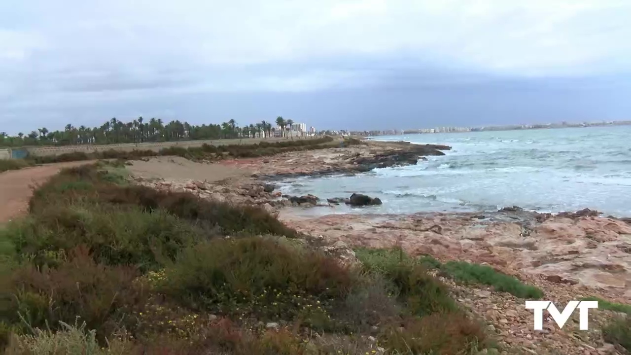 Imagen de La playa canina sólo podrá ser utilizada de julio a febrero, asegura Sueña Torrevieja