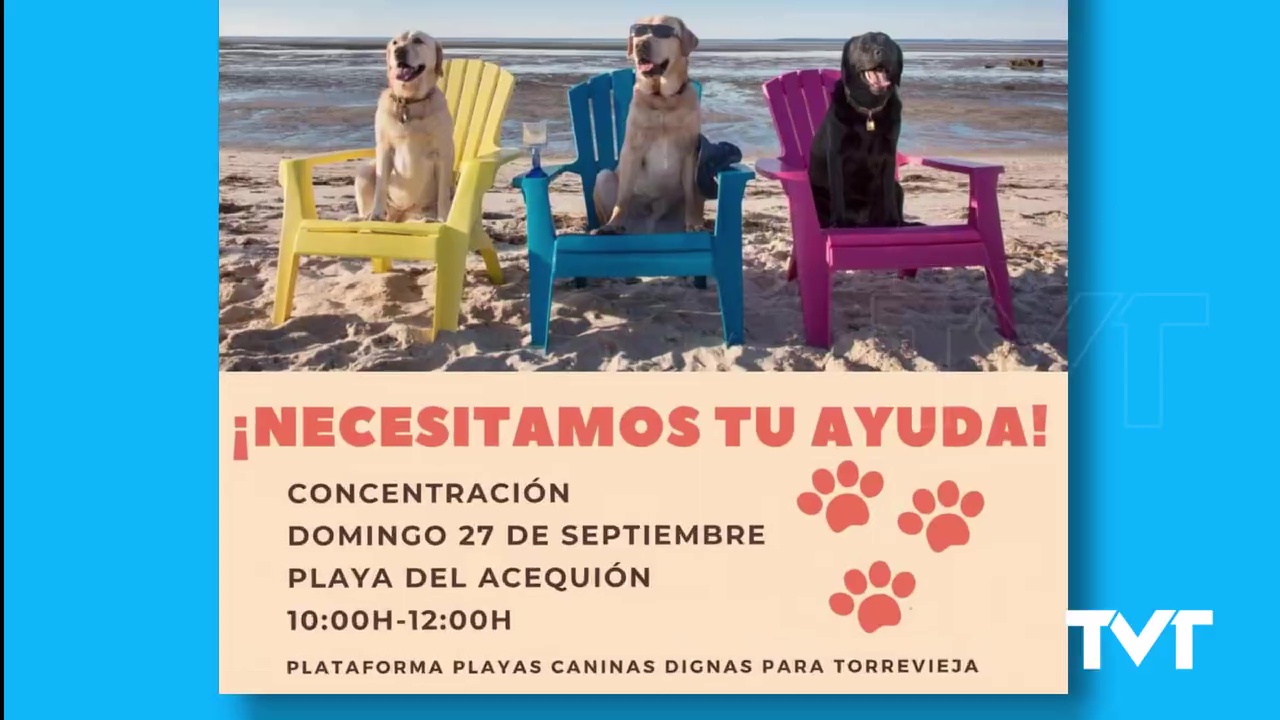 Imagen de La plataforma proplayas caninas se moviliza el 27 de septiembre