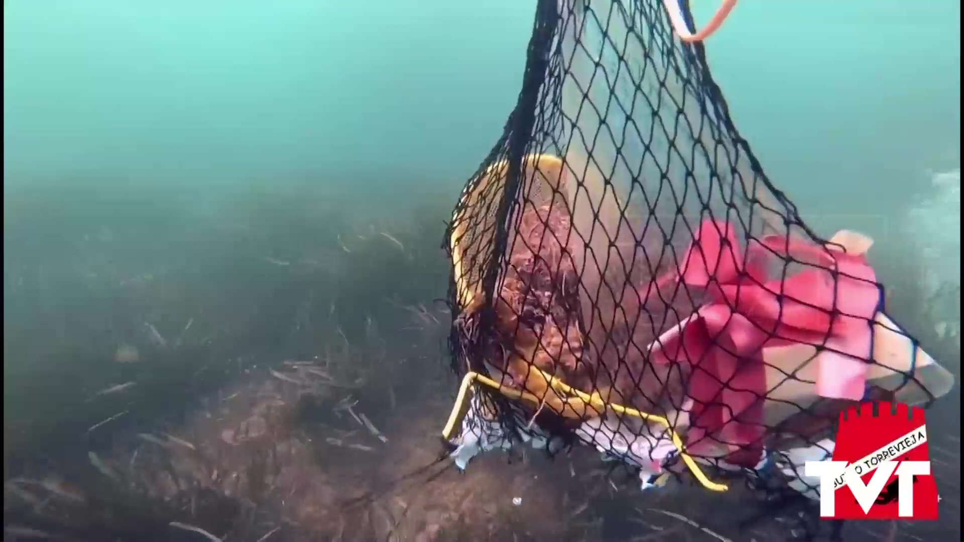 Imagen de 45 kilos de basuraleza son retirados de Punta del Salaret en Torrevieja