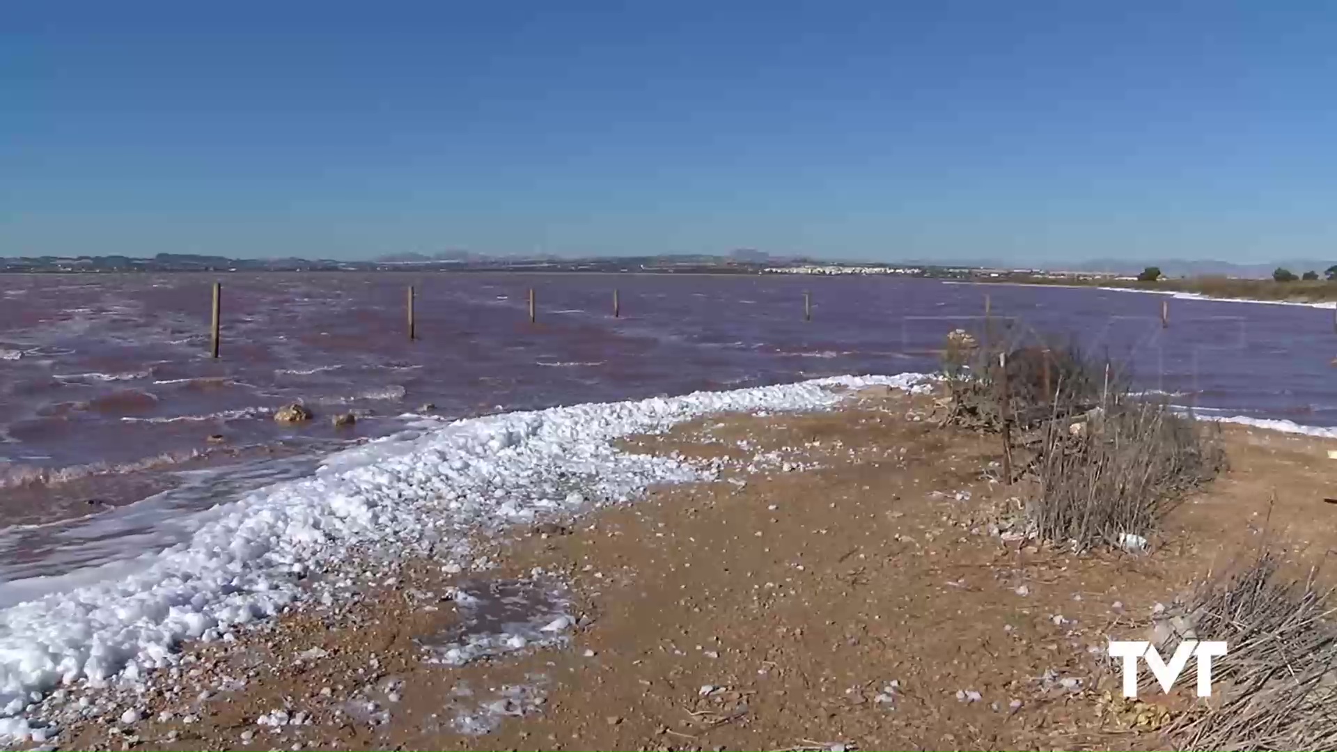 Imagen de El agua de la laguna de La Mata llega estos días a superar los 40ºC