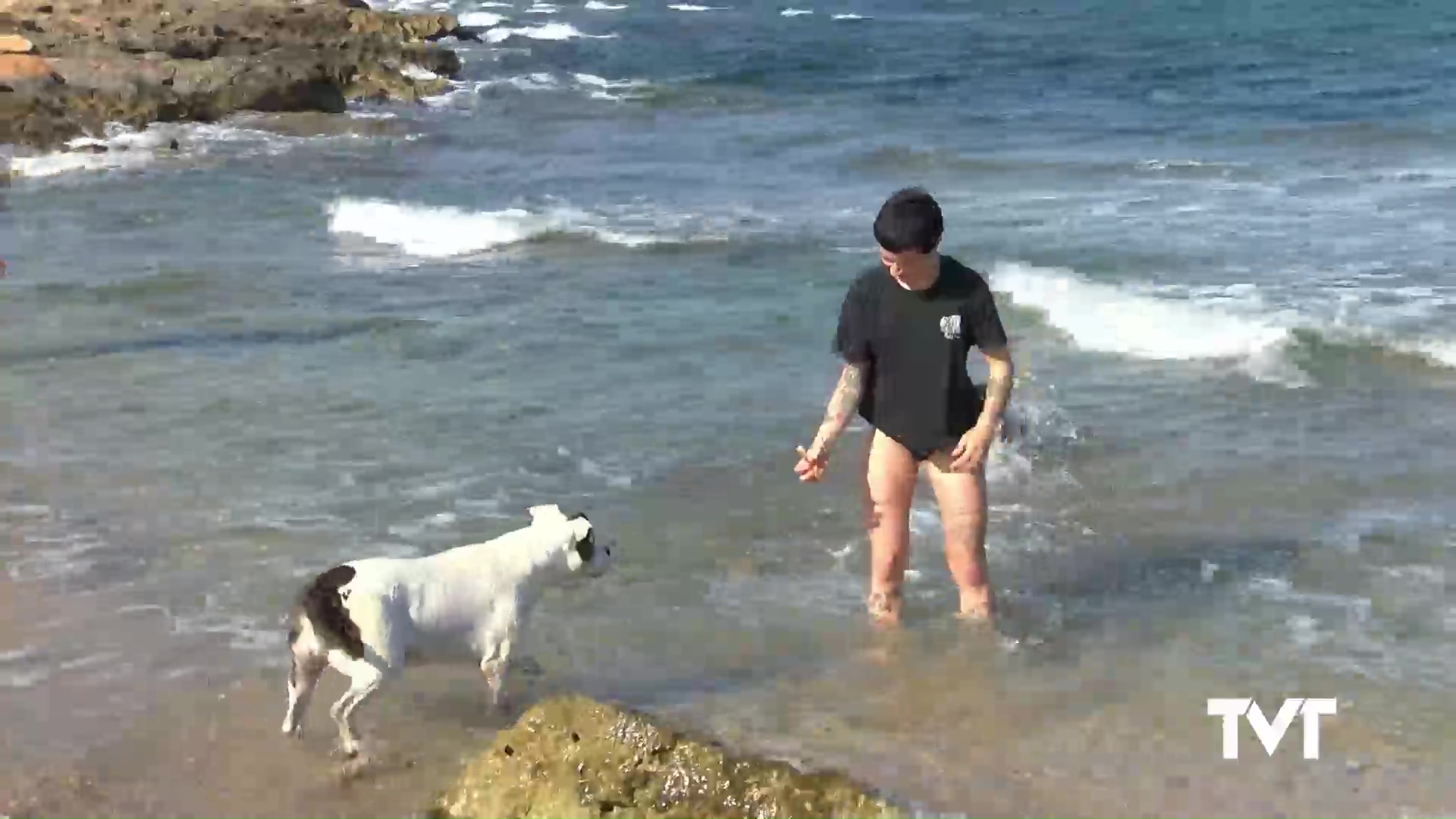 Imagen de La playa de perros: el plan perfecto para que las mascotas no sufran el calor del verano