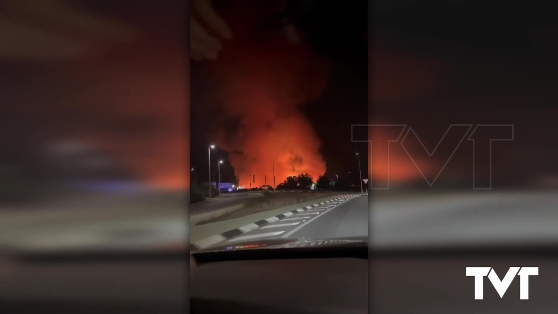 Imagen de Un incendio arrasa un palmeral en Torrevieja 