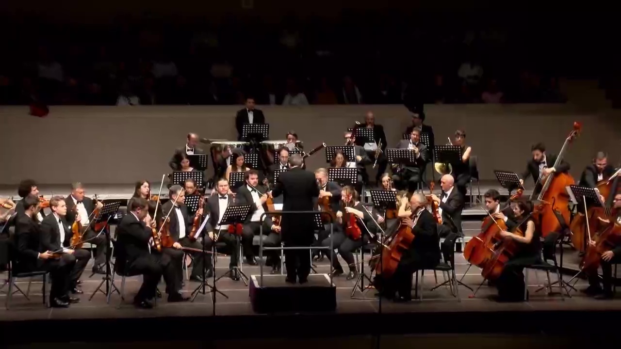 Concierto OST - Arryaga-Mozart-Haydn 
