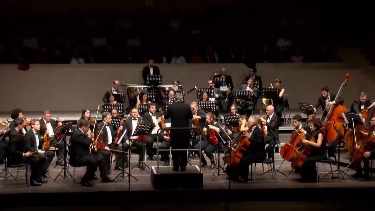 Concierto OST - Arryaga-Mozart-Haydn 