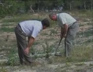 Imagen de Campaña  De Reforestación En La Finca Rodríguez De Torrevieja