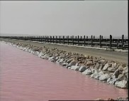 Imagen de Comité De Empresa Salinas De Torrevieja