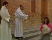 Imagen de Bendición De Animales En La Iglesia De La Inmaculada