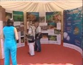 Imagen de La Cam Presenta Exposición Sobre El Medio Marino En El Paseo Juan Aparicio