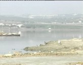 Imagen de Aumenta El Número De Especies De Aves En El Parque Natural De Las Lagunas De La Mata- Torrevieja