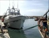 Imagen de La Flota De Pesca De Torrevieja Afronta La Crisis Con El Gas Oil Mas Caro De La Historia