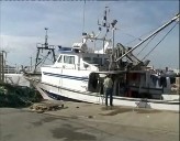 Imagen de Torrevieja Participará En La Asamblea Nacional De Ciudades De La Pesca