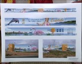 Imagen de El Torrevejense Raúl Sánchez Ganador Del Concurso Nacional De Grafiti De Agamed