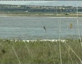 Imagen de Jornada De Astronomía En El Parque Natural De La Mata-Torrevieja