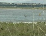 Imagen de Jornada De Astronomía En El Parque Natural De La Mata-Torrevieja