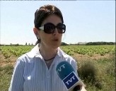 Imagen de Agricultores De La Mata Piden A Los Turistas Que Respeten Los Viñedos Privados Del Parque Natural