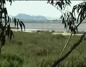 Imagen de El Parque Natural De La Mata Torrevieja Celebra El Día Europeo De Los Parques