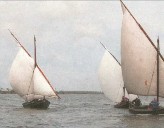 Imagen de La Vela Latina De Torrevieja En La Albufera De Valencia