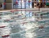 Imagen de Control Federativo De Natacion En La Piscina Olimpica De Torrevieja