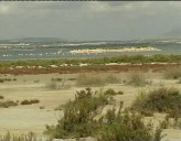 Imagen de Desciende El Numero De Visitantes En Las Lagunas De La Mata Y Torrevieja