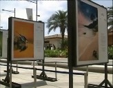 Imagen de Inaugurada La Exposición De Fotografías De La Cam En El Paseo Vista Alegre