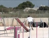 Imagen de El Club Agility De Torrevieja Acoge La Tercera Prueba Puntuable Para El Nacional De 2010