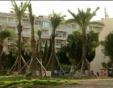 Imagen de A Partir De Septiembre Se Ejecutan Nuevas Zonas Verdes En Torrevieja