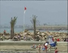 Imagen de Se Intensifican Los Trabajos En Las Playas Para La Retirada De Algas Por El Temporal