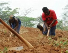 Imagen de Manos Unidas Torrevieja Financia Proyecto De Educación En Camerún
