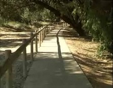 Imagen de Celebrada Junta Rectora Del Parque Natural De La Mata Y Torrevieja