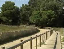 Imagen de Medio Ambiente Elimina Vegetación Invasora Del Parque Natural