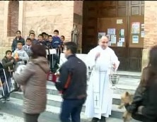 Imagen de Bendición De Animales El Día De San Antón El Domingo 17 En Torrevieja