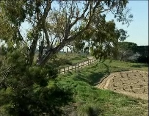 Imagen de El Consell Aprueba El Plan Rector De Uso Y Gestión Del Parc Natural De Las Lagunas