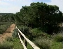 Imagen de Eu Pide Al Consell Que Amplíe La Protección De Las Lagunas De Torrevieja 