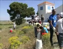 Imagen de Torrevieja Celebró El Dia Europeo De Los Parques Con Actividades Familiares