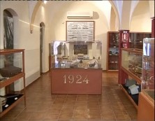 Imagen de Más De 7500 Visitas Recibe El Museo De Historia Natural De Torrevieja En 2 Meses