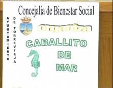 Imagen de Abierto El Plazo De Presentacion De Solicitudes Para La Escuela De Verano Caballito De Mar
