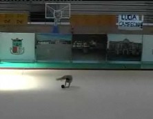 Imagen de El Club Gimnasia Rítmica Torrevieja Brilla En Los Campeonatos De España