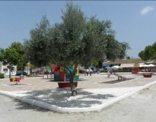 Imagen de Inaugurado El Parque Cuatro Estaciones En La Torreta Torrevieja